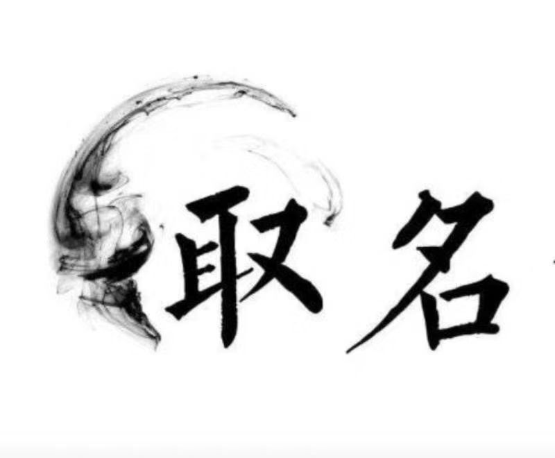  山阳宝宝取名 大师一对一人工起名